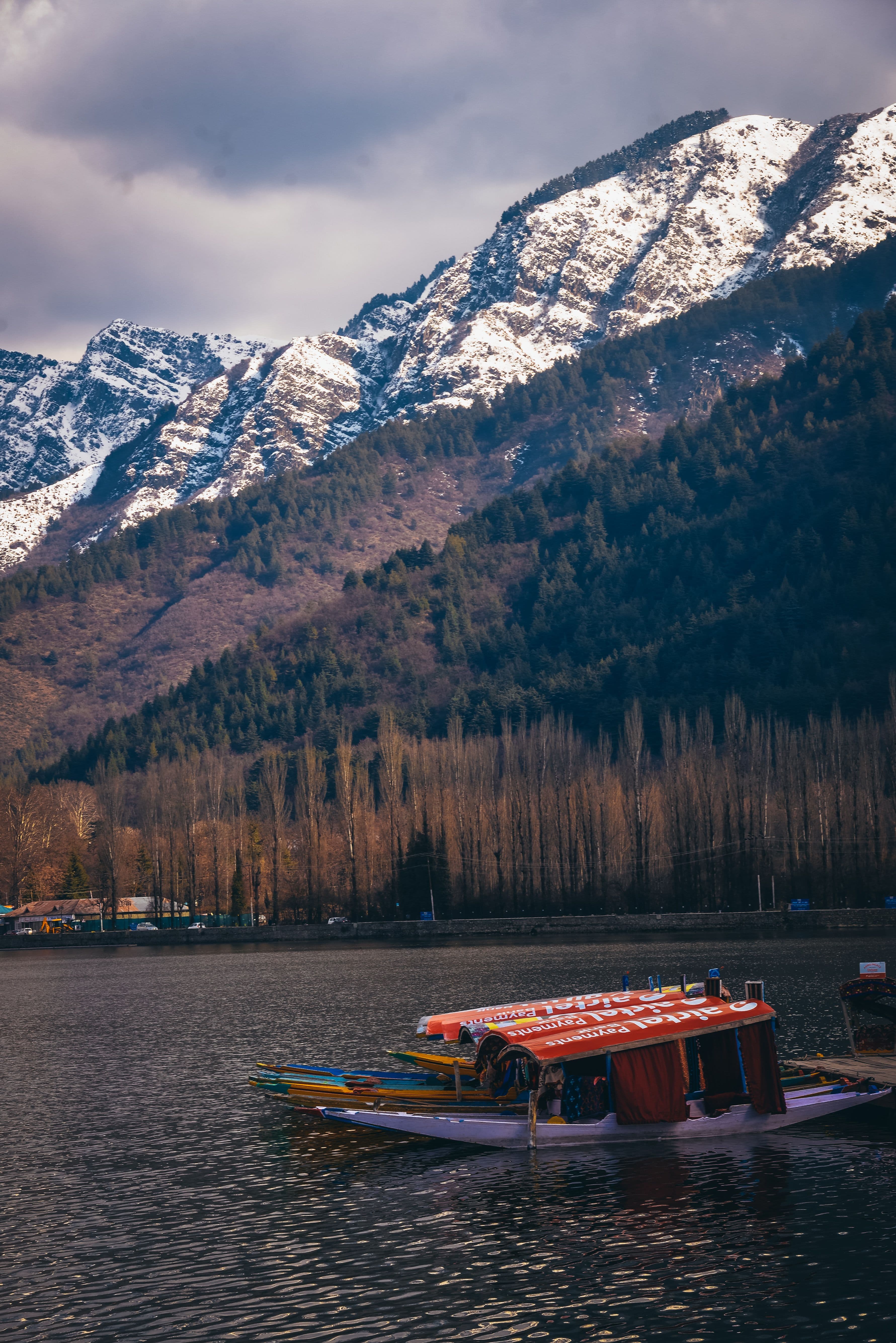 Kashmir Backpacking