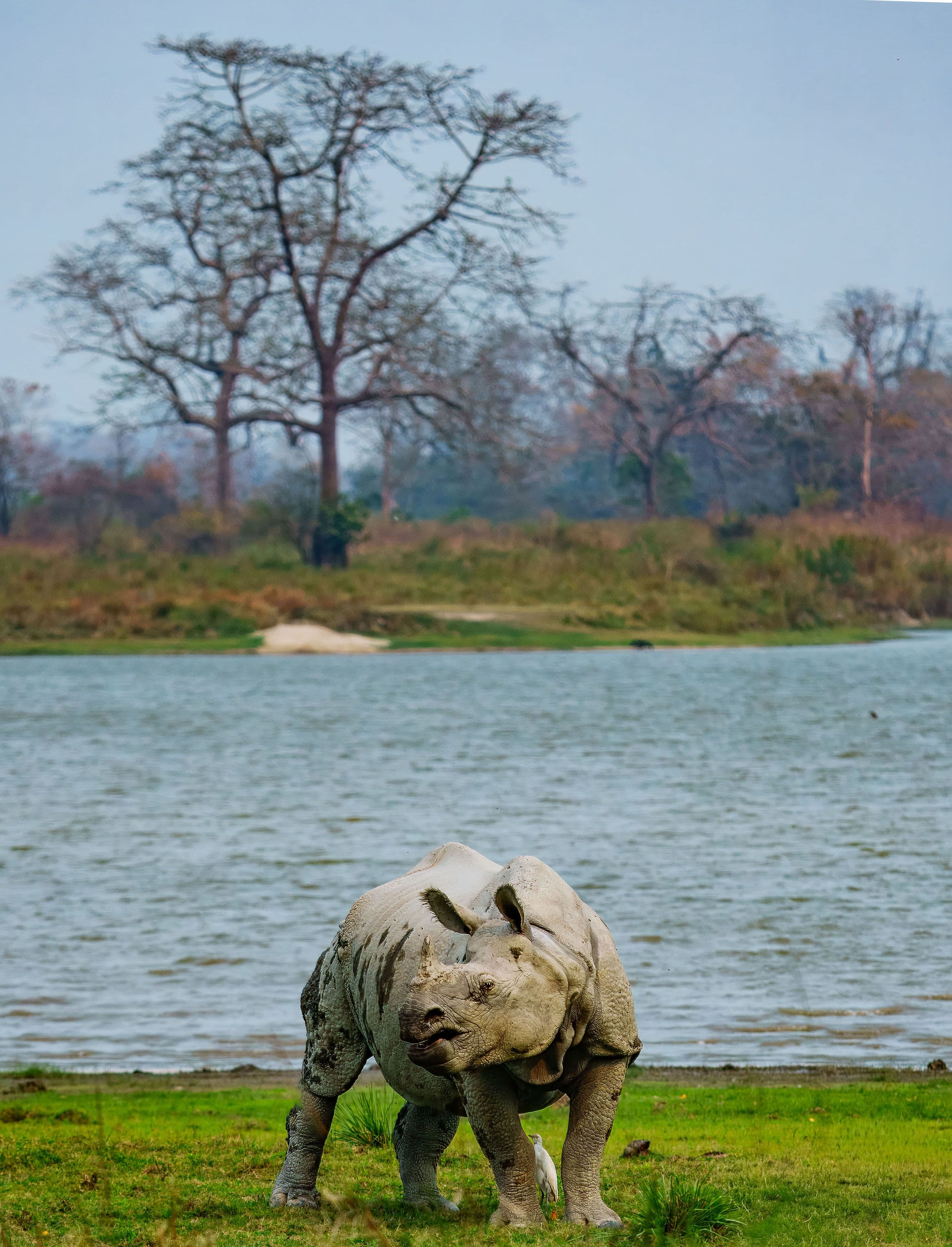 Meghalaya & Kaziranga